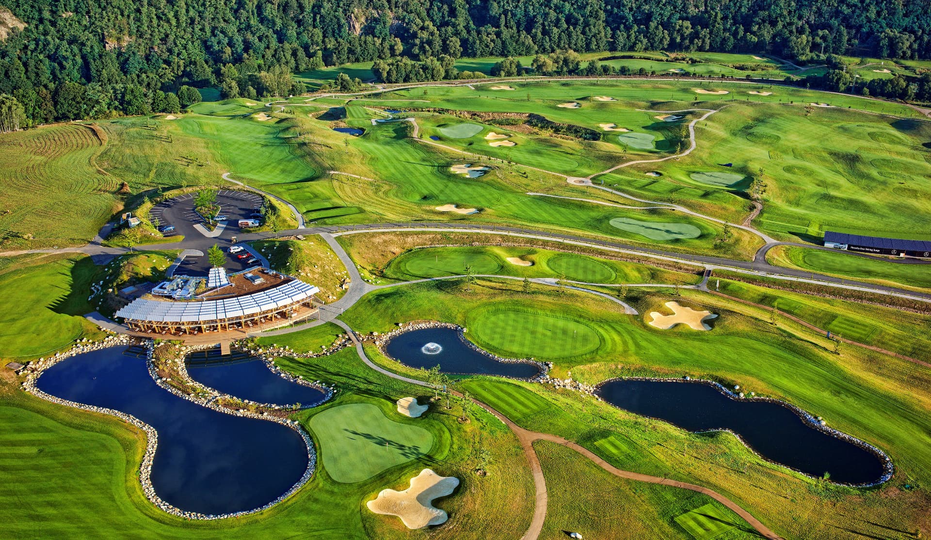 Golfista roku 2024